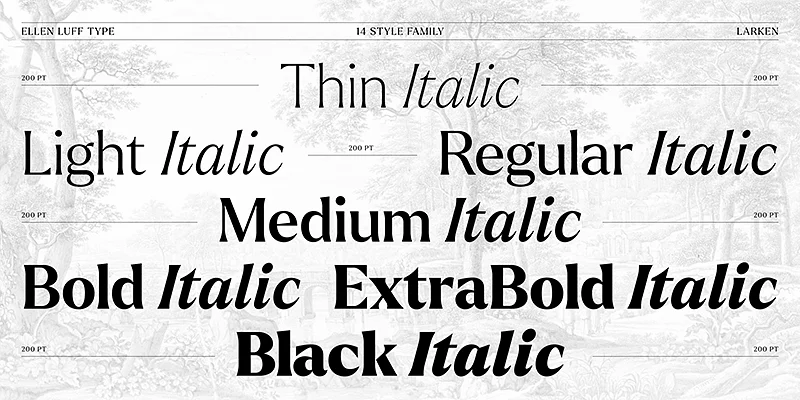 Larken Font