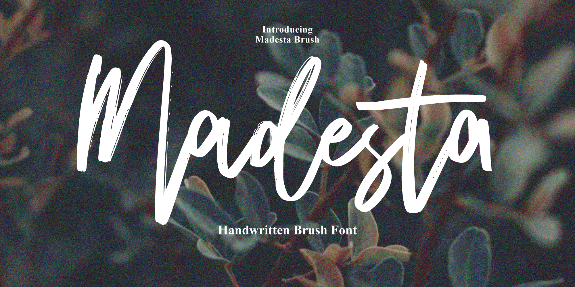 Madesta Brush Free Download Free Download Madesta Brush Free Download Free Download