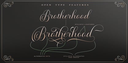 Maldini Script Font Free Download Maldini Script Font Free Download