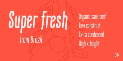 Mangaba Pro Font