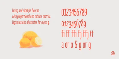 Mangaba Pro Font