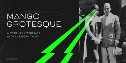 Mango Grotesque Font