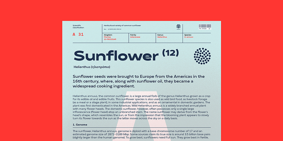 Matahari Sans Font Free Download Matahari Sans Font Free Download