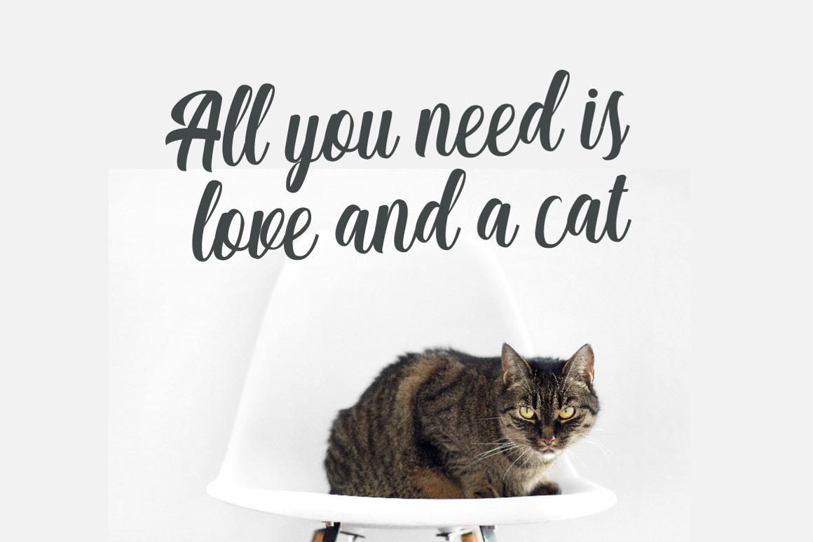 Matilda Anderson Font Free Download Matilda Anderson Font Free Download