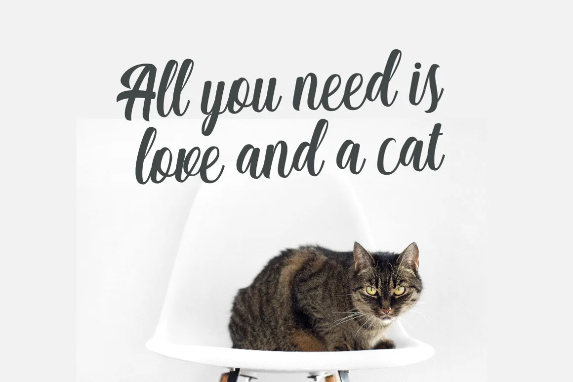 Matilda Anderson Font