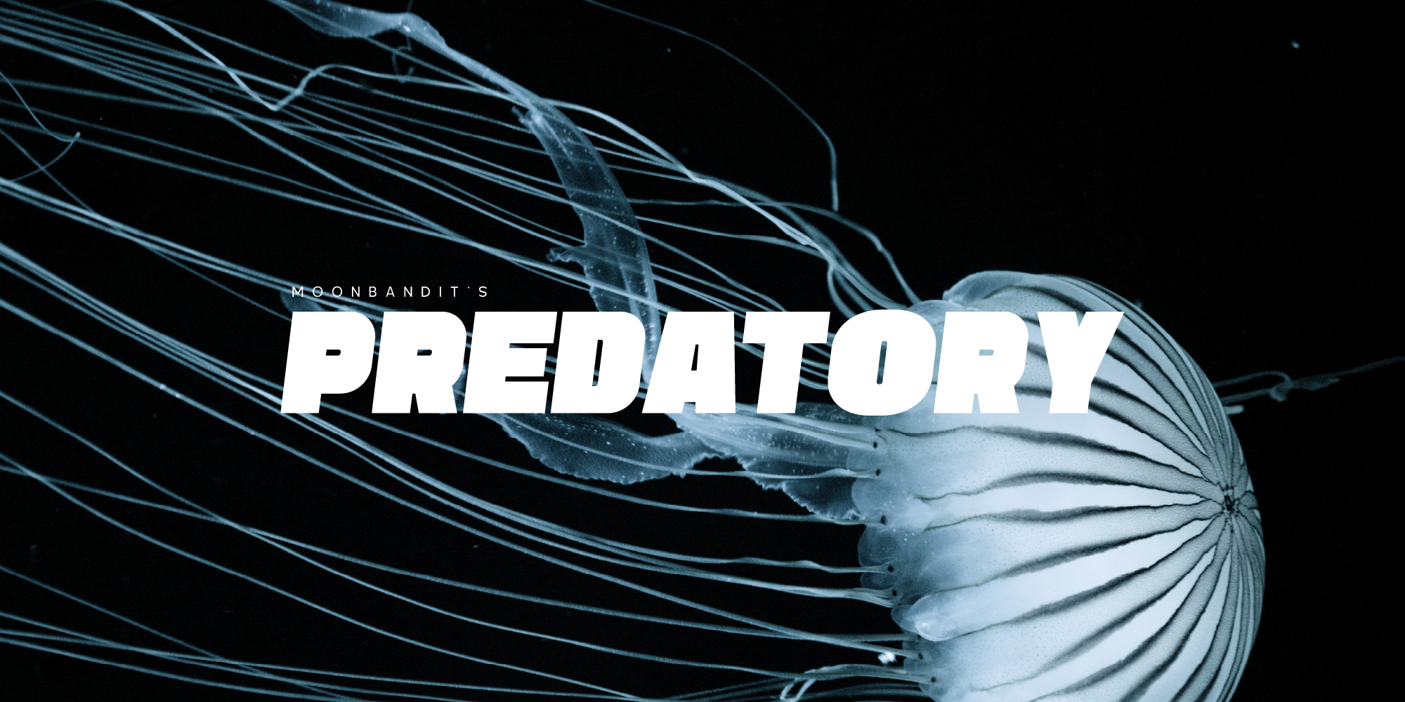 MBF Predatory Free Download Free Download MBF Predatory Free Download Free Download