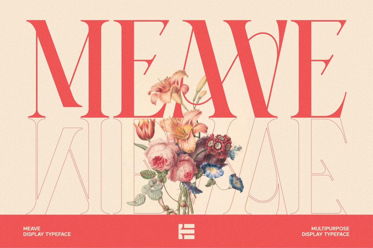 Meave Free Download Free Download Meave Free Download Free Download