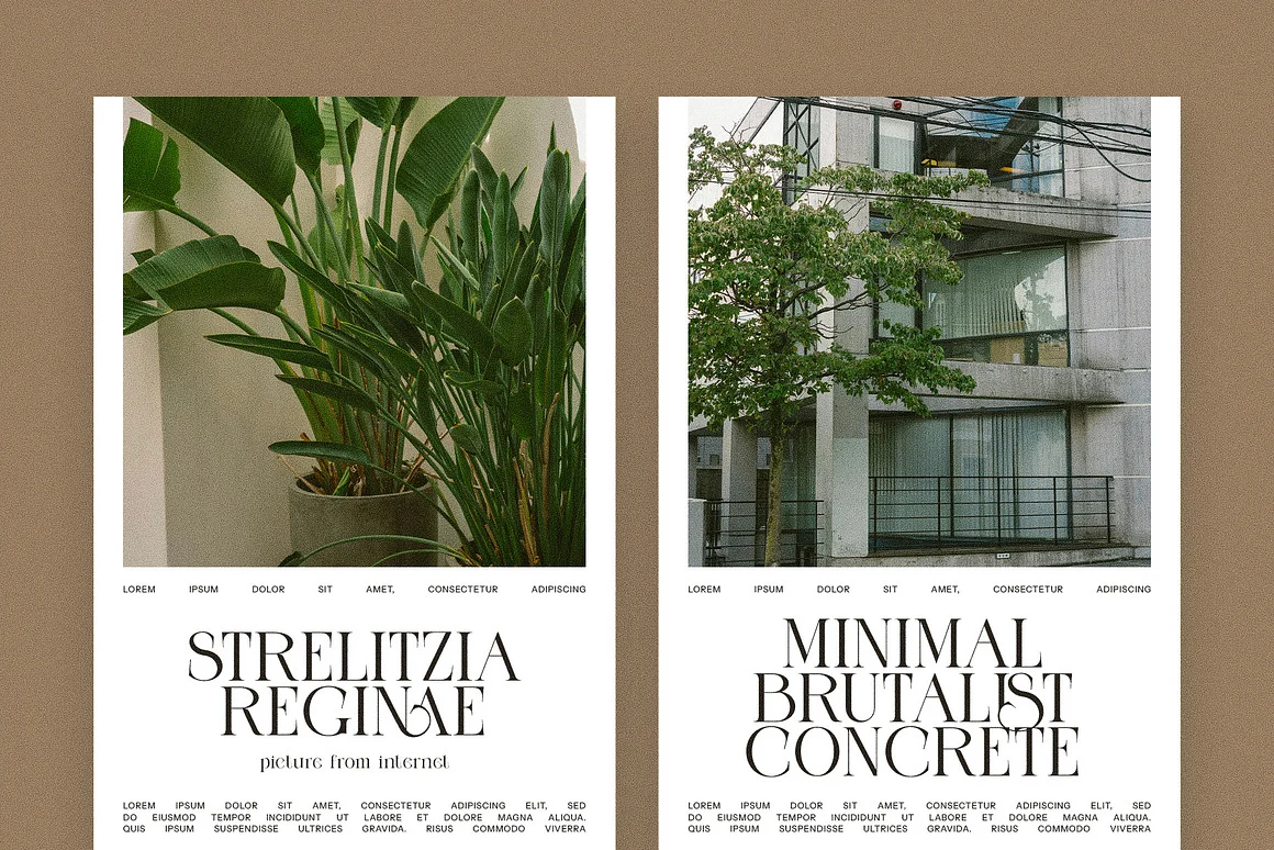 Mengko Elegant Serif Font