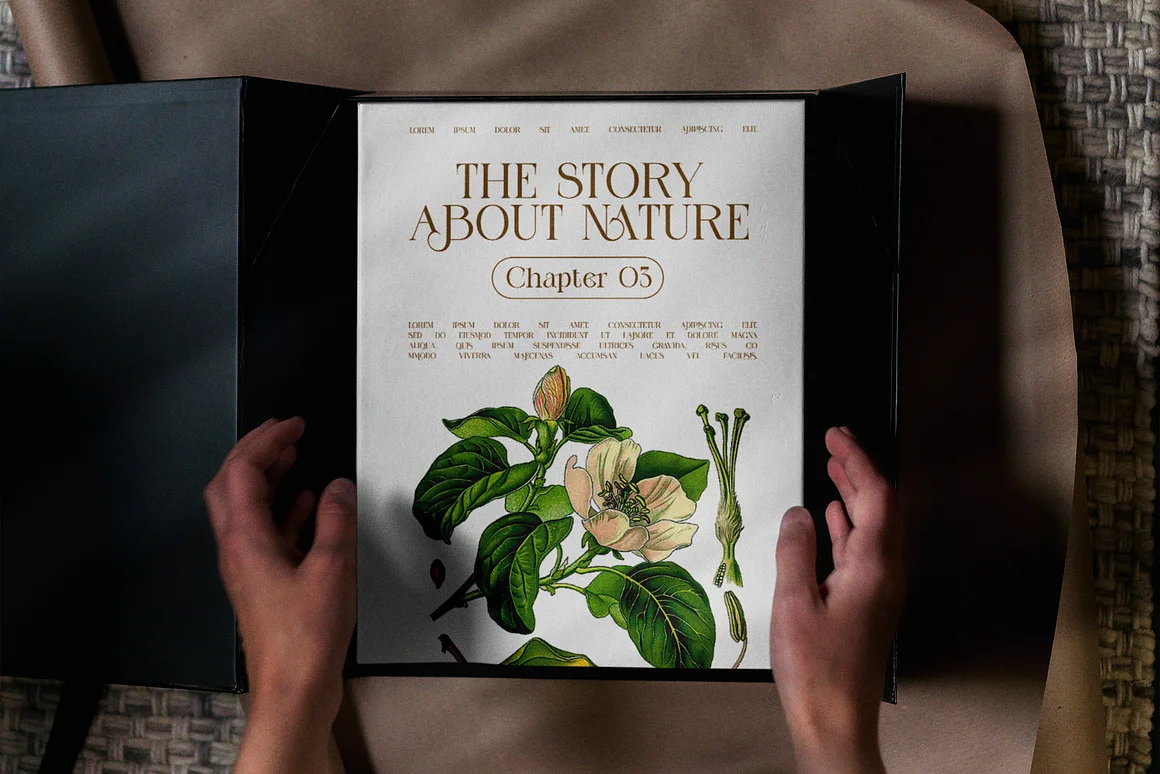 Mengko Elegant Serif Font