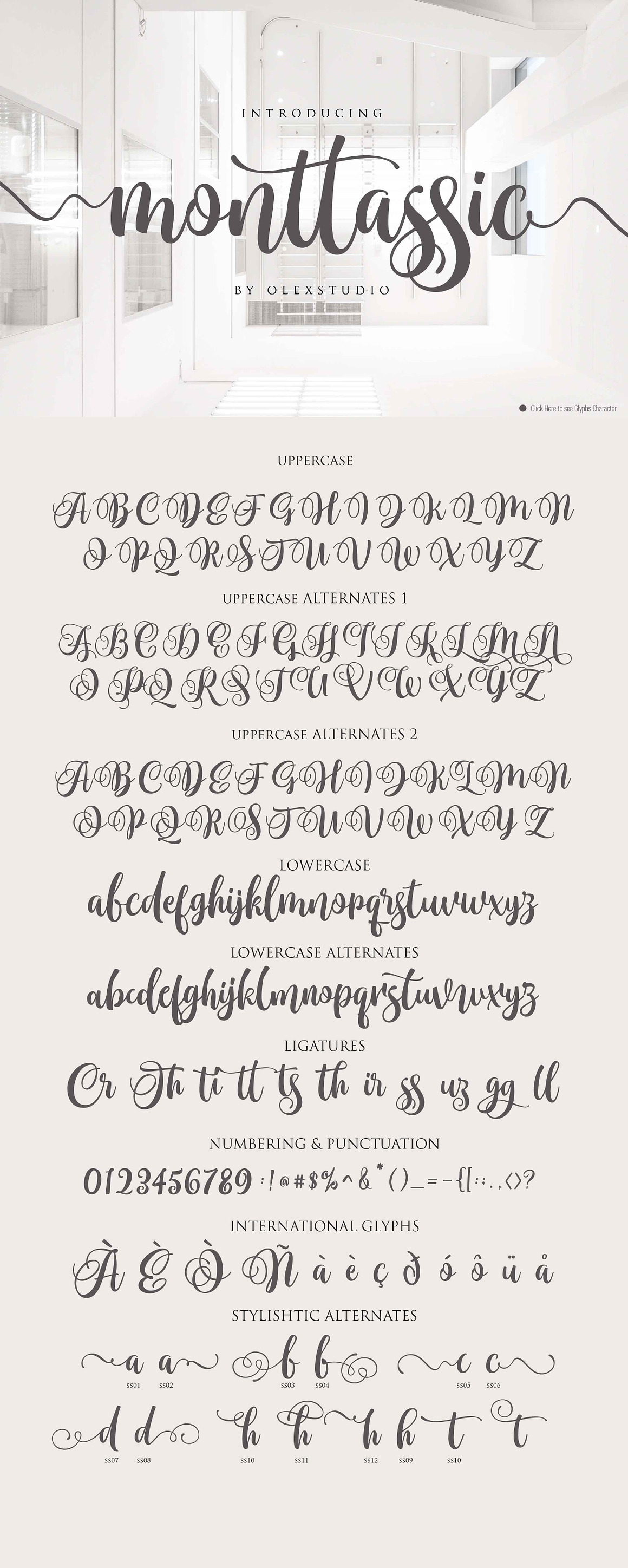 Monttassic - Luxury Script Font Free Download Monttassic - Luxury Script Font Free Download