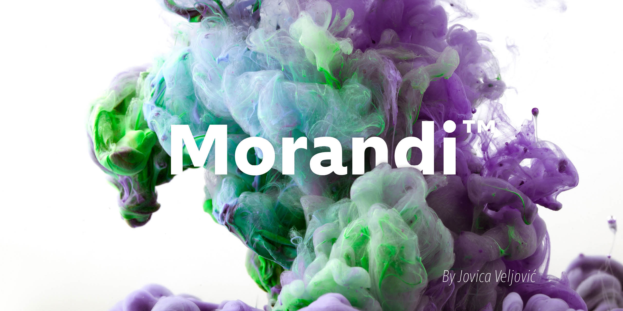 Morandi Free Download Free Download Morandi Free Download Free Download
