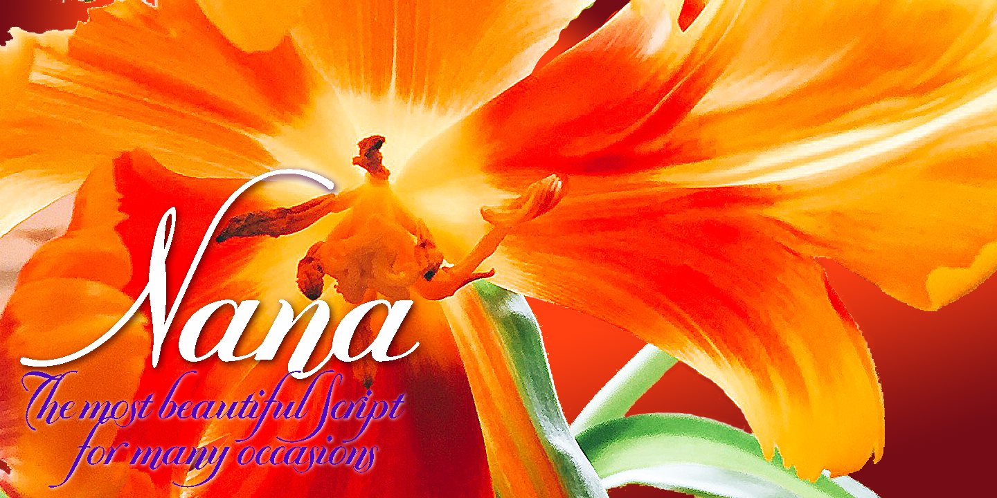 Nana Free Download Free Download Nana Free Download Free Download