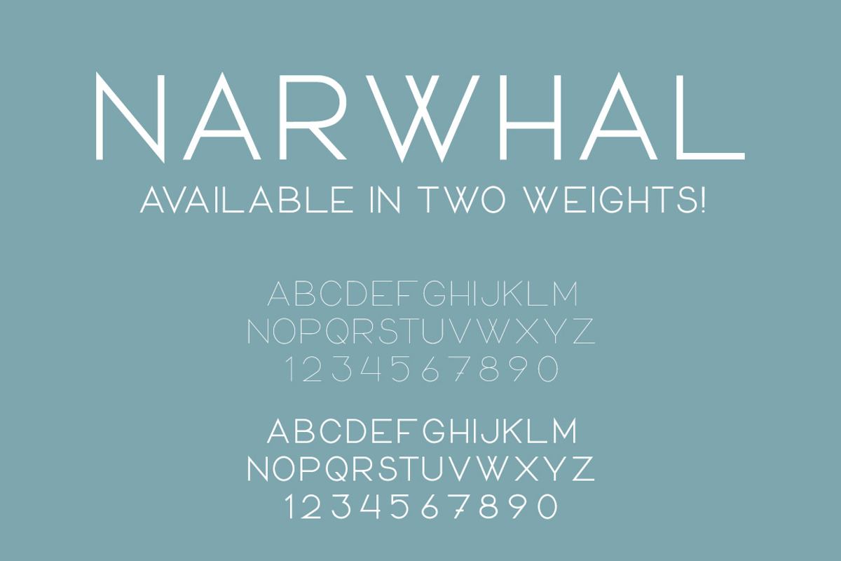Narwhal Free Download Free Download Narwhal Free Download Free Download