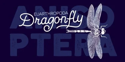 Nauticus Font