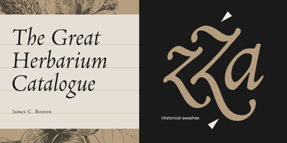Neacademia Font Free Download Neacademia Font Free Download