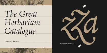 Neacademia Font