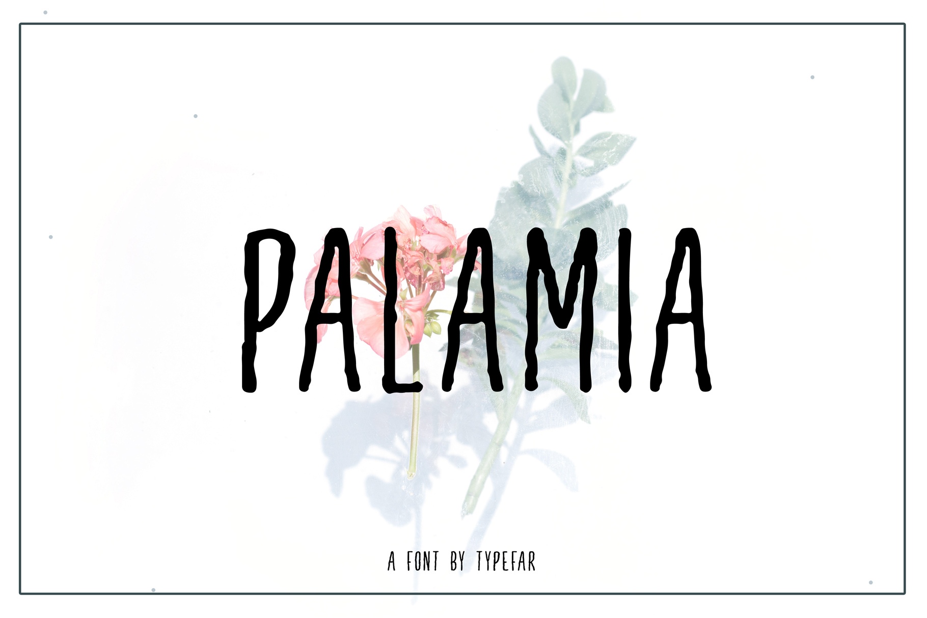Palamia Typeface Free Download Palamia Typeface Free Download