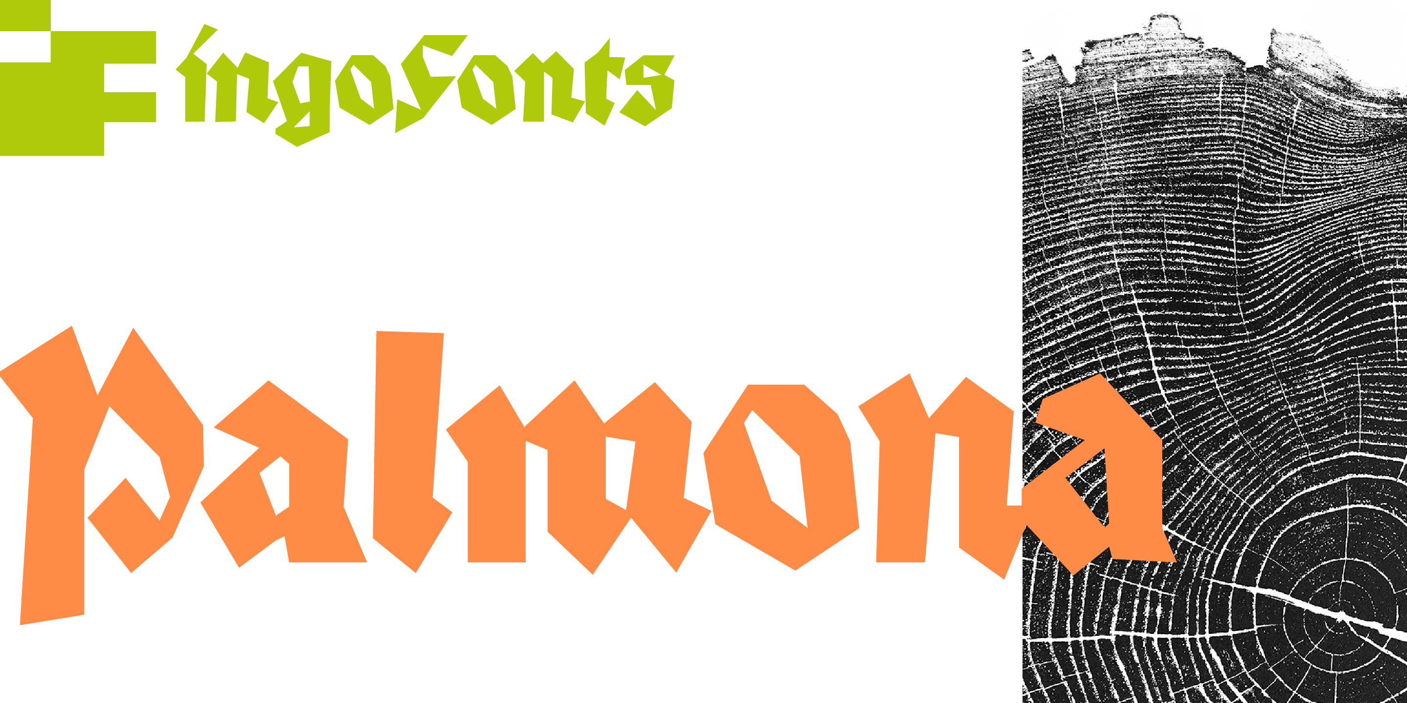Palmona Plus Free Download Free Download Palmona Plus Free Download Free Download