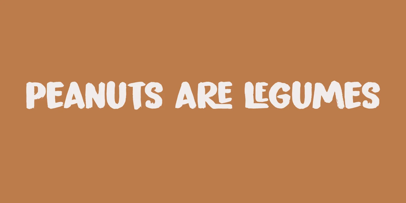 Peanut Crunch Font