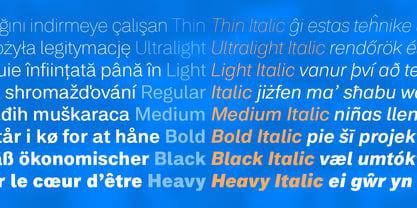Peter Font Free Download Peter Font Free Download