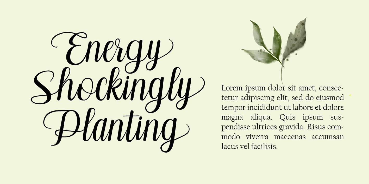 Pilletta Font Free Download Pilletta Font Free Download