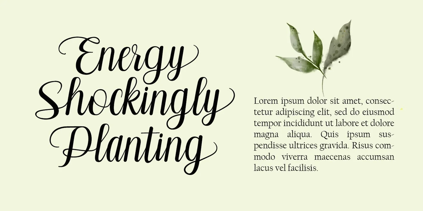 Pilletta Font