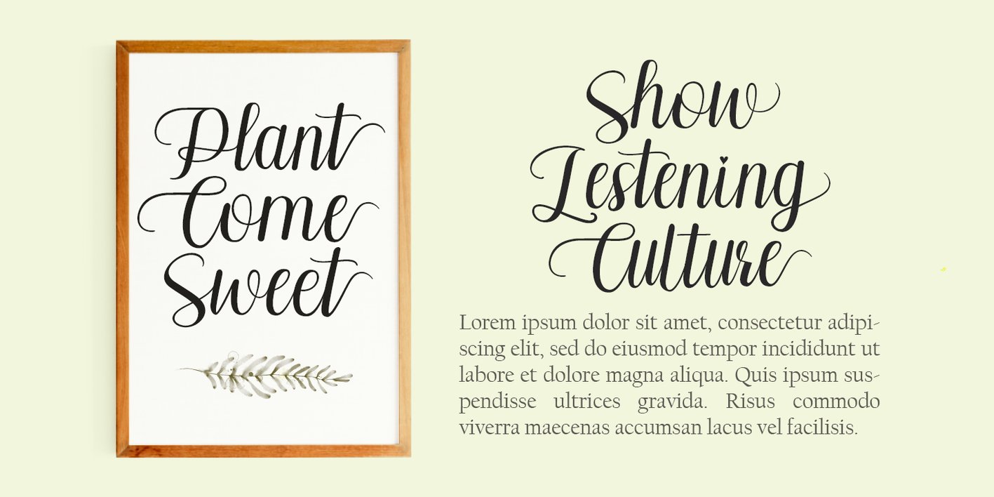 Pilletta Font Free Download Pilletta Font Free Download