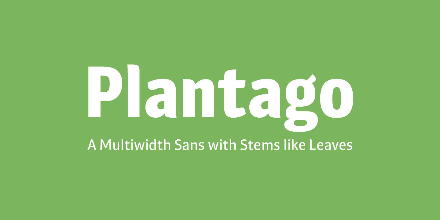 Plantago Free Download Free Download Plantago Free Download Free Download