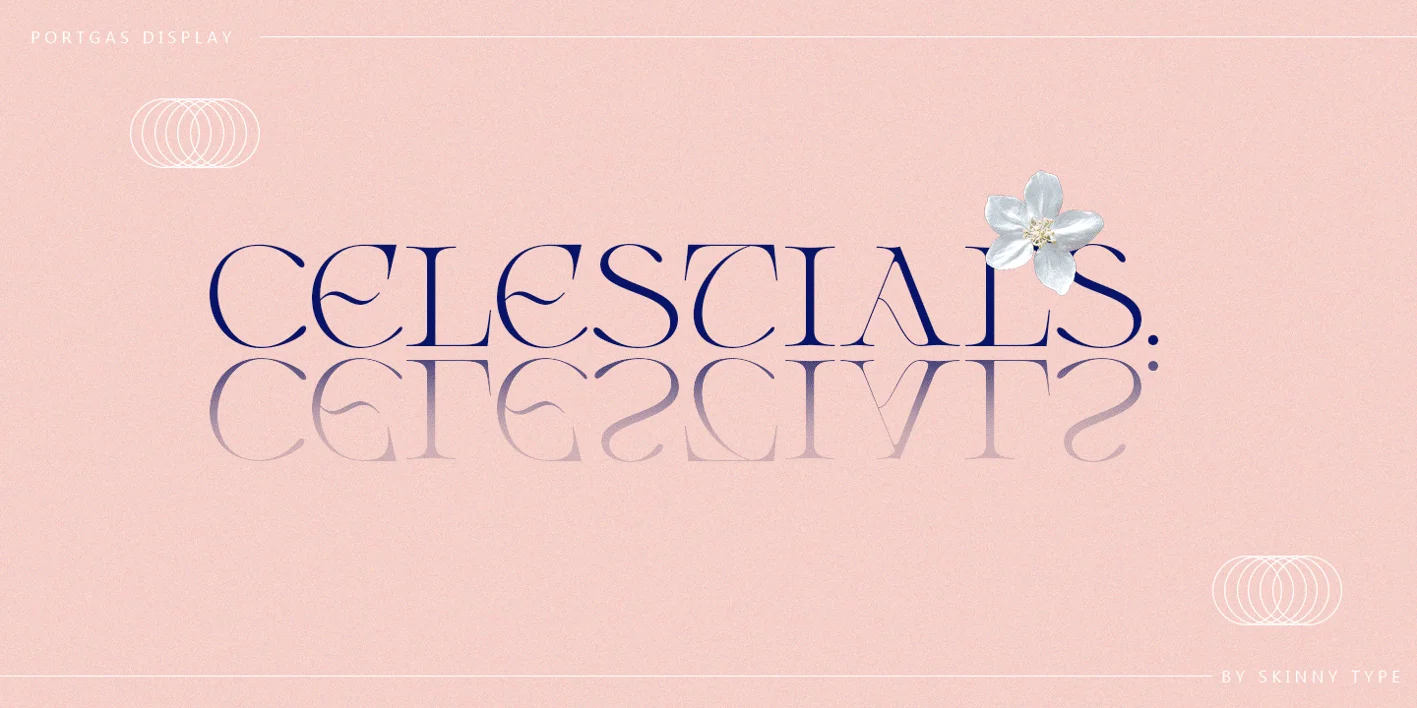 Portgas Display Font