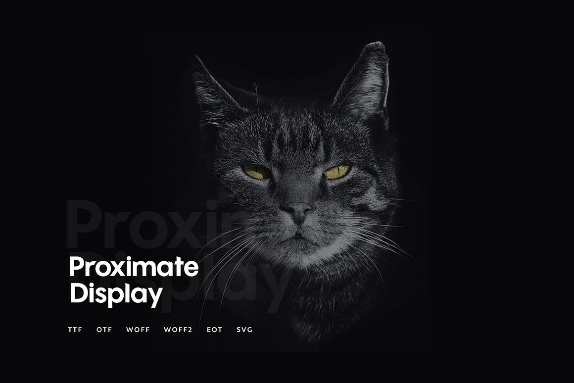 Proximate - Modern Typeface Free Download Proximate - Modern Typeface Free Download