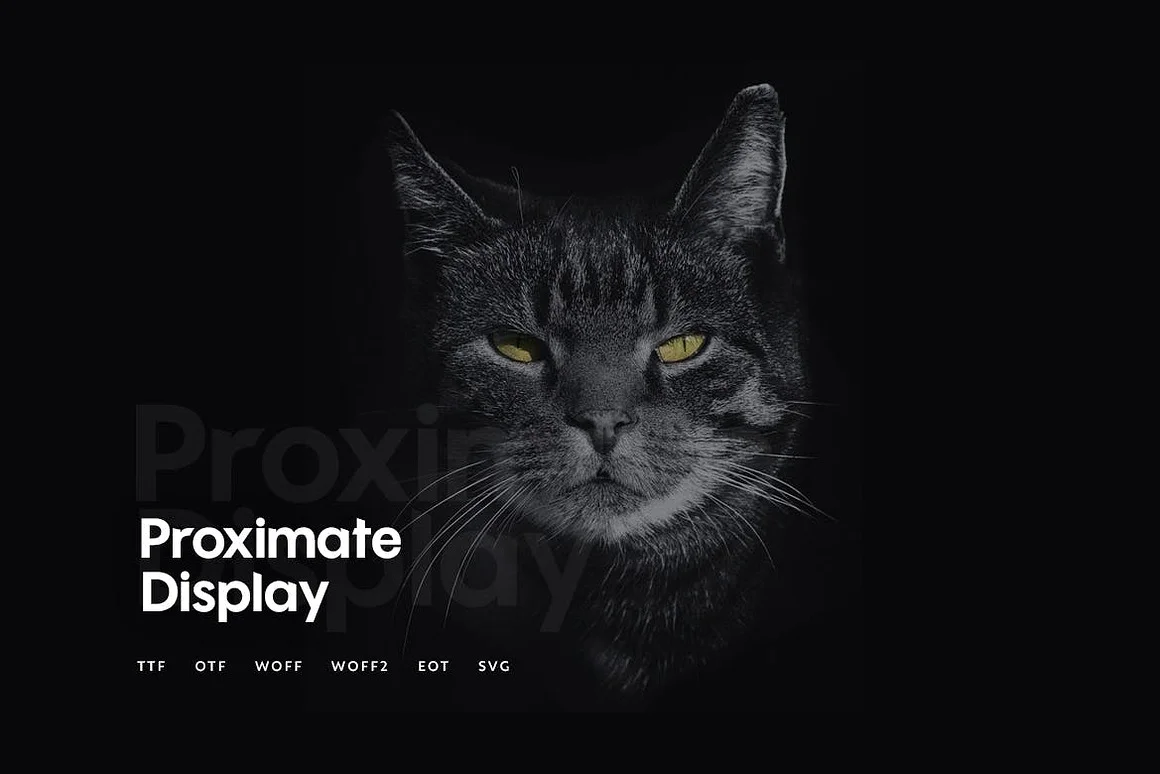 Proximate - Modern Typeface
