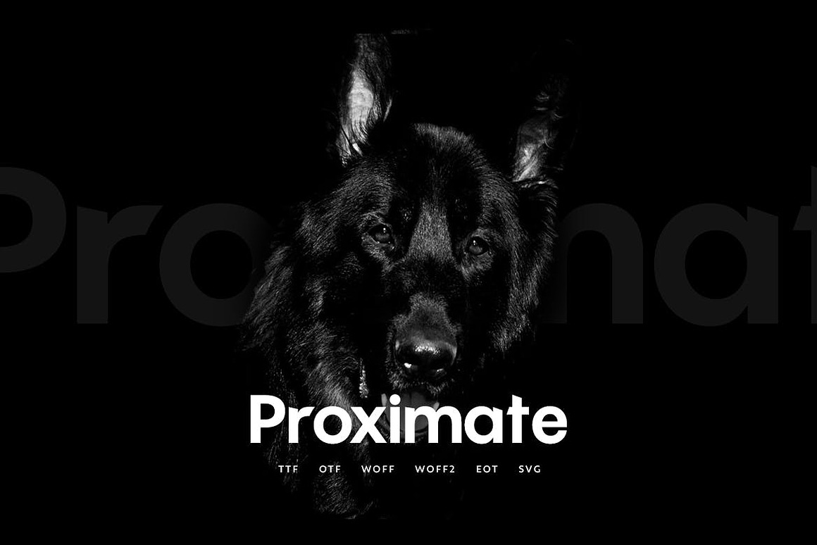 Proximate - Modern Typeface Free Download Proximate - Modern Typeface Free Download