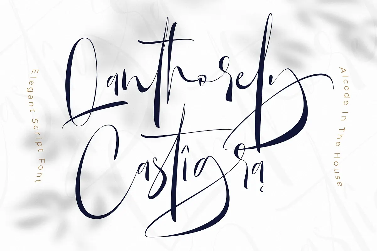 Qanthorely Castigra Free Download Free Download Qanthorely Castigra Free Download Free Download