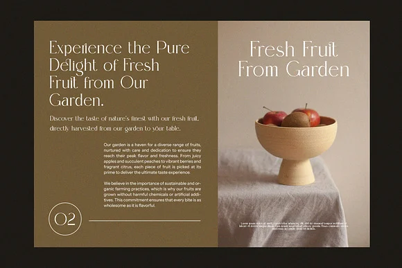 Qelgin Modern Serif Font