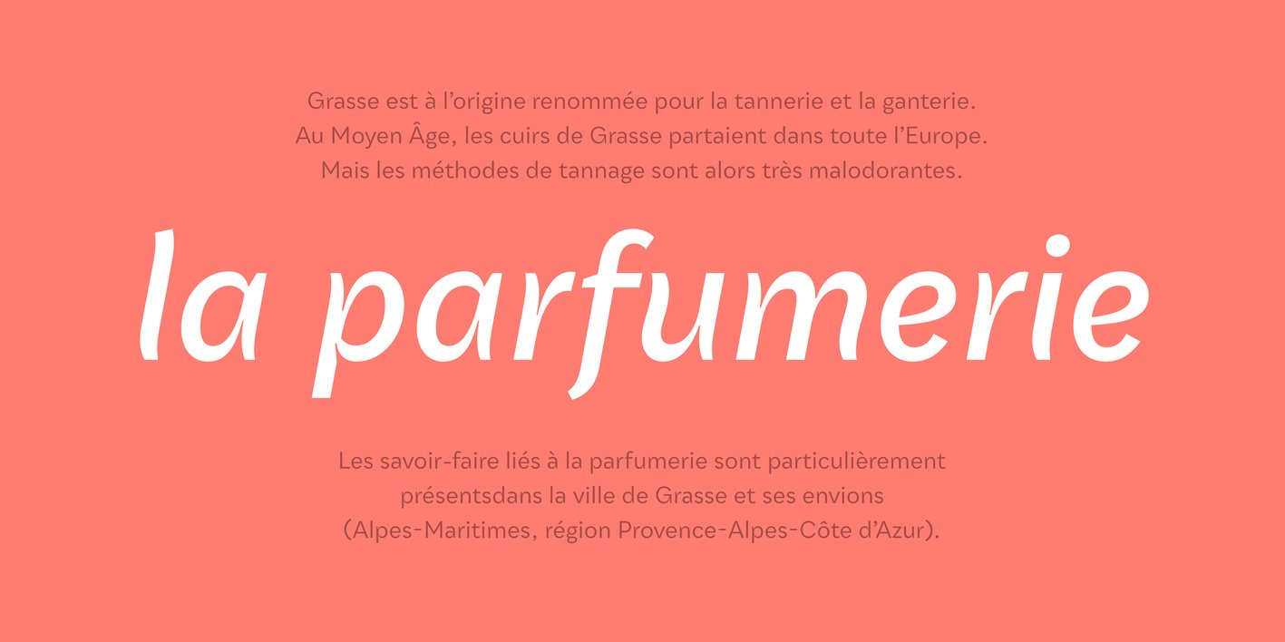 Qualion Text Font Free Download Qualion Text Font Free Download