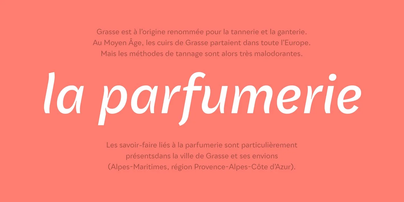 Qualion Text Font Free Download Free Download