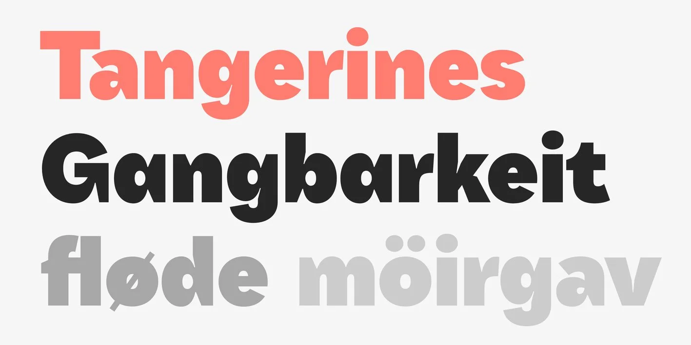 Qualion Text Font Free Download Free Download