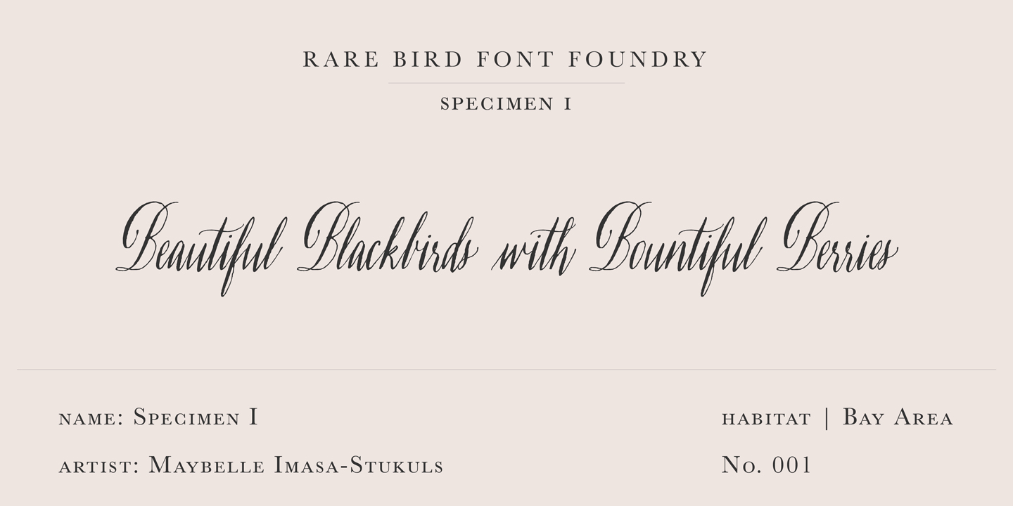Rare Bird Specimen I Free Download Free Download Rare Bird Specimen I Free Download Free Download