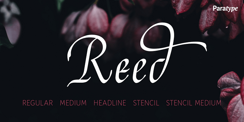 Reed Font Free Download Free Download Reed Font Free Download Free Download