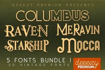 5 Fonts Bundle 1