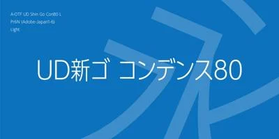 A-OTF UD Shin Go Con80 Pr6N Font