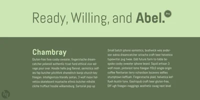 Abel Pro Font