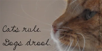 Abigail YOFF Font