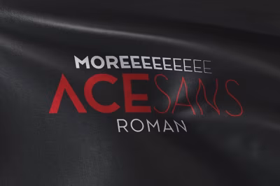 Ace Sans Roman Free Download