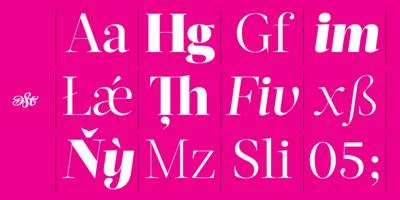 Acta Display Font