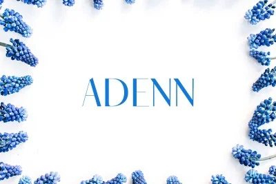 Adenn Serif 4 Font Family Pack