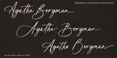 Agatha Bergman Font