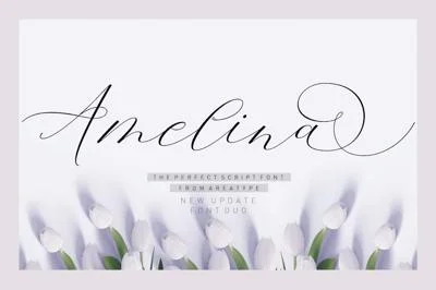 Amelina Script New Update Font Duo