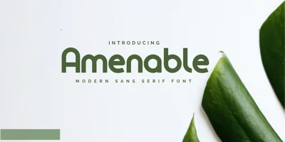Amenable Font