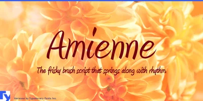 Amienne Font